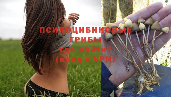 каннабис Алзамай