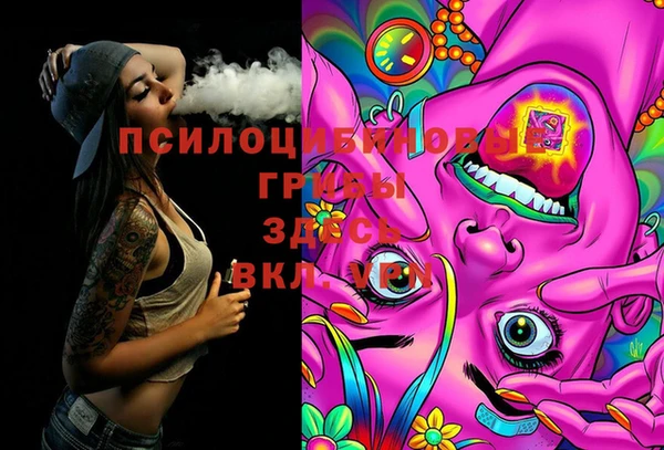 прущие крисы Алексеевка