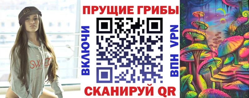 Псилоцибиновые грибы Psilocybe  Тамбов 